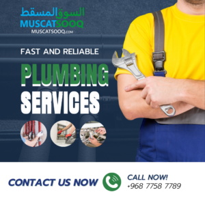 Plumbing Services (2)